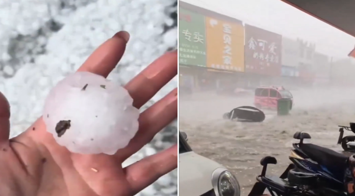 #VIDEO || Pekín bajo ataque de granizo: lluvia de bolas de hielo sorprende a la ciudad