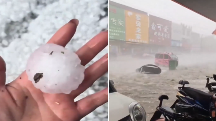 imagen_2025-09-14_130419074