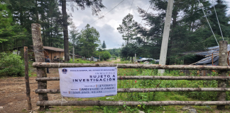 Cumplimenta FGE cateo en predio relacionado con tala ilegal en Zinapécuaro