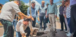 ¡Seguimos sembrando vida en Jiquilpan!