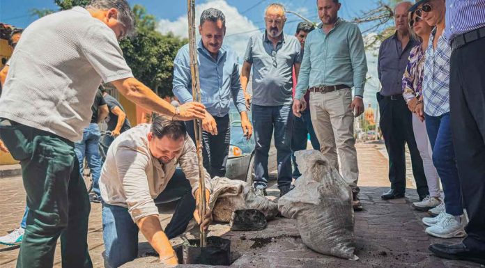 ¡Seguimos sembrando vida en Jiquilpan!