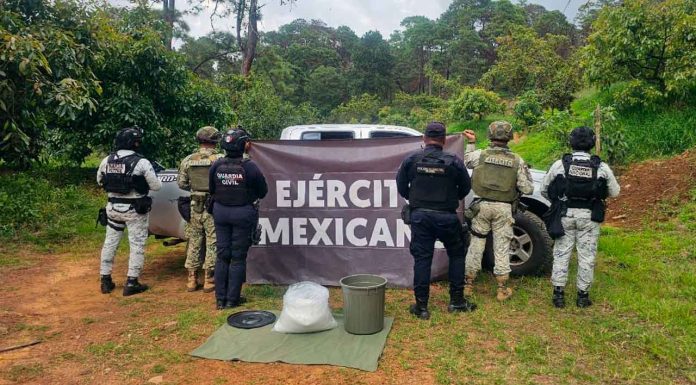 Asegurados 15 kilos de metanfetamina en Uruapan: SSP