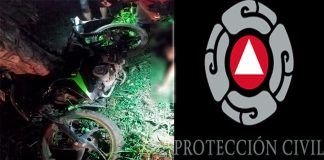 Motociclista resulta gravemente herido tras impactarse contra un árbol en Apatzingán