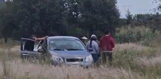 #México: Encuentran sin vida a mujer que estuvo desaparecida dos días; estaba hincada y rodeada de abejas