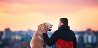 #VIDEO || El amor perruno tiene base científica… y es más profundo de lo que imaginas