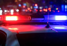 Hallan seis cuerpos en límites de Jalisco y Zacatecas