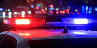 Hallan seis cuerpos en límites de Jalisco y Zacatecas