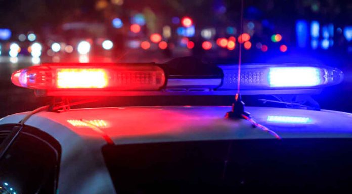 Hallan seis cuerpos en límites de Jalisco y Zacatecas