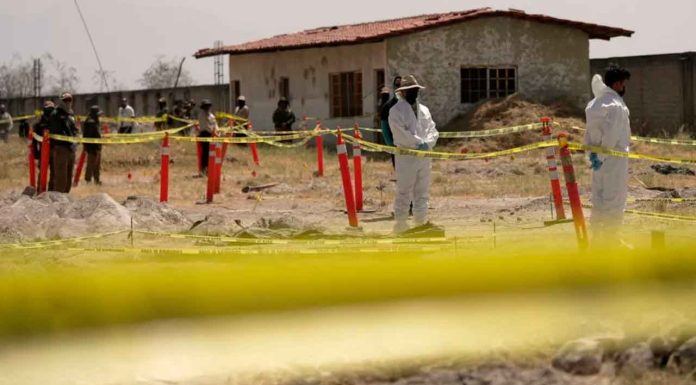 CJNG en Quintana Roo obligaban a los jóvenes que reclutaba a comer carne humana Foto: Reuters
