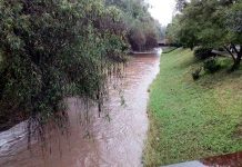 Ríos de Morelia registran una disminución en sus caudales