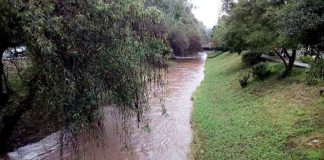 Ríos de Morelia registran una disminución en sus caudales