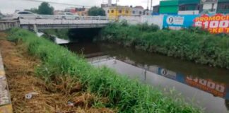 Nivel del Río Grande se mantiene en un 50 por ciento