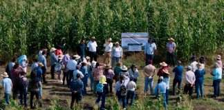 Sader impulsa soberanía alimentaria a través de técnicas agroecológicas