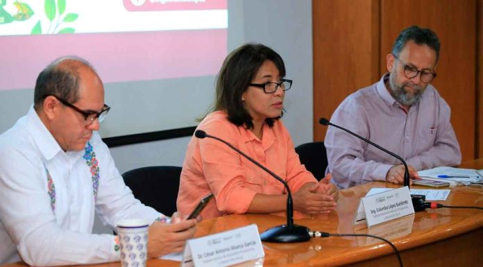 La restauración agroecológica, enfoque central del programa Sembrando Vida en su segunda etapa de operación