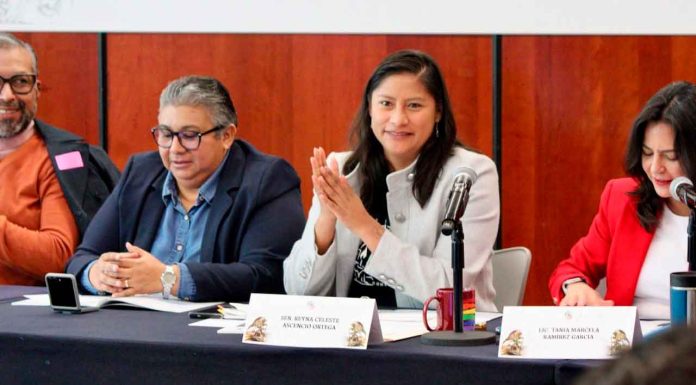 En Foro, Senadora Celeste Ascencio impulsa una Reforma Electoral con inclusión y justicia social