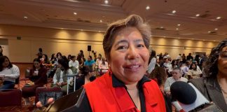 Michoacán impulsa producción legal y sustentable de árboles navideños