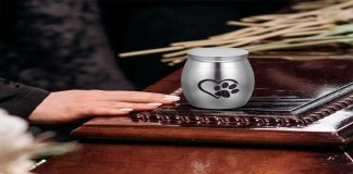 Crematorio en Chetumal engañaba a dueños de mascotas: entregaba tierra en lugar de cenizas.