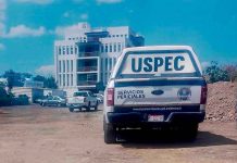 Hallan extremidades humanas en predio de Morelia, cerca de las vías férreas