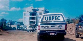 Hallan extremidades humanas en predio de Morelia, cerca de las vías férreas