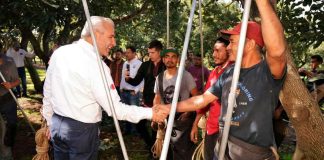 Con más de 3.8 millones de toneladas, Michoacán lidera producción nacional de aguacate, limón y berries