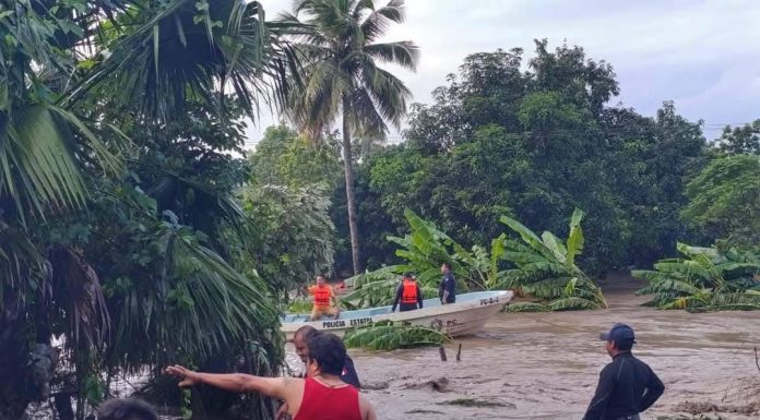 Aumenta a 44 los fallecidos por lluvias en el País