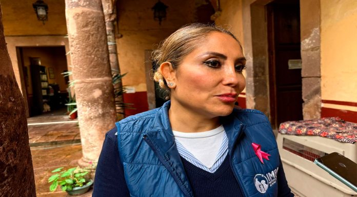 IMPA continúa en la búsqueda de que perritos desfilen por la alfombra roja del FICM