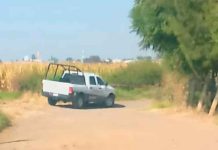 Hallan a hombre descuartizado y embolsado en Indaparapeo