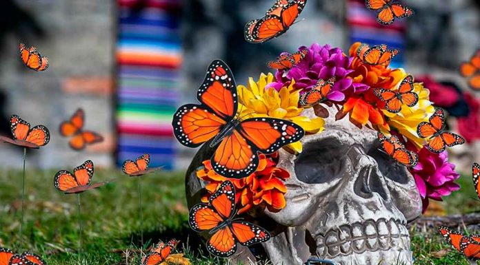 Almas aladas: el encuentro entre la mariposa monarca y el Día de Muertos