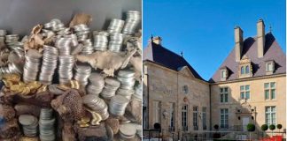 Robo millonario sacude museo francés con casi 2 mil monedas desaparecidas