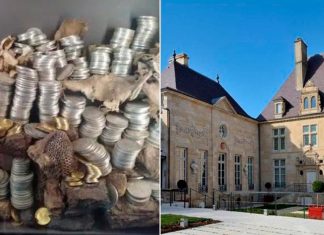 Robo millonario sacude museo francés con casi 2 mil monedas desaparecidas
