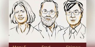 Nobel de Medicina 2025: descubren cómo se regula el sistema inmune