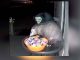 #VIDEO|| Decoración de Halloween asusta a una zarigüeya en el tazón de dulces.
