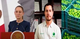 Sheinbaum lamenta asesinato de líder limonero en Michoacán: “Tiene que haber justicia”