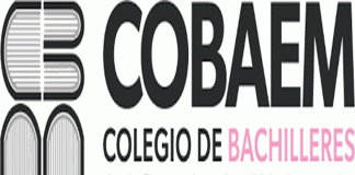 Cobaem separa del cargo a dos empleados por su posible relación en sustracción de alumna