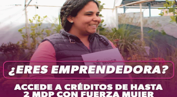 ¿Eres emprendedora? Accede a créditos de hasta 2 mdp con Fuerza Mujer