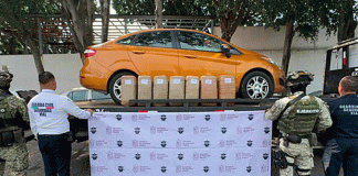 Más de 57 kilos de marihuana son confiscados en operativo sobre la carretera Morelia-Pátzcuaro