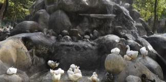 La fuente de los patos recibirá mantenimiento y limpieza