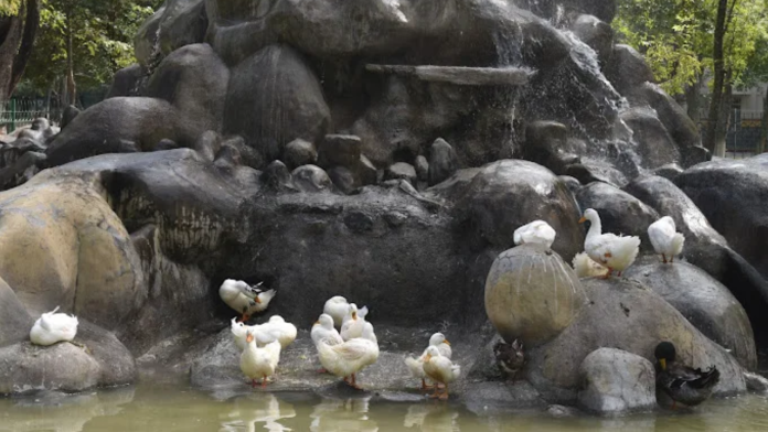 Untitled design (29)