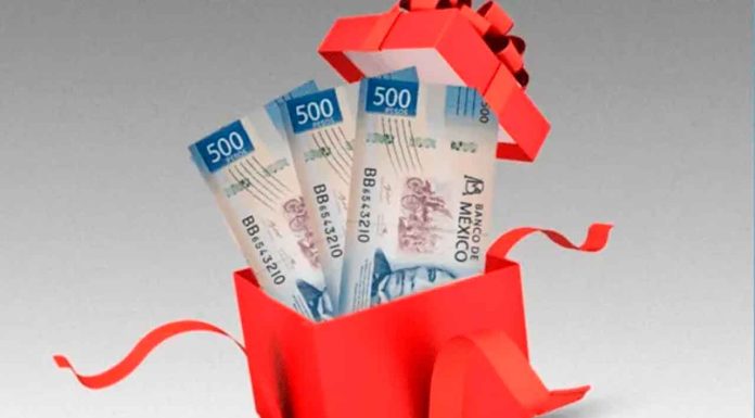 Aguinaldo 2025: ¿Qué pasa si trabajo por honorarios o soy freelancer?