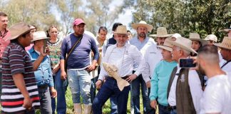 Para proteger al campo, Bedolla envía a Sheinbaum propuesta de precios justos del maíz