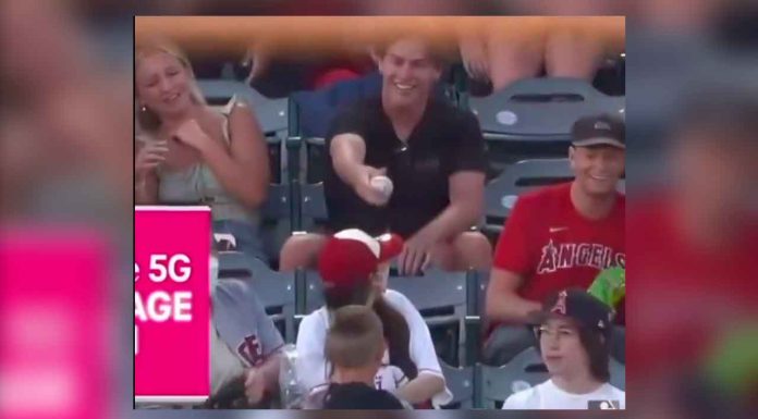 Fanático entrega la pelota a un niño y lo que pasó después fue fabuloso