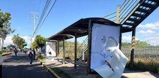 Destinará Ayuntamiento más 800 mil pesos para reparar daños tras marcha en Morelia