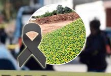 Asesinan a empresario citrícola en Álamo Temapache, Veracruz