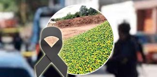 Asesinan a empresario citrícola en Álamo Temapache, Veracruz