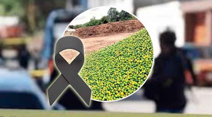 Asesinan a empresario citrícola en Álamo Temapache, Veracruz