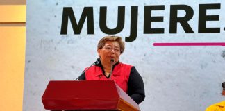 Michoacán se alista con brigadas mixtas y capacitación para prevenir incendios forestales