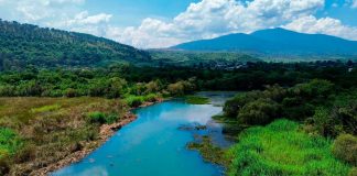 Avanza recuperación del manantial de La Mintzita: Compesca