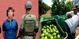 Detienen en Tierra Caliente a El “Llanero”, presunto extorsionador del sector limonero