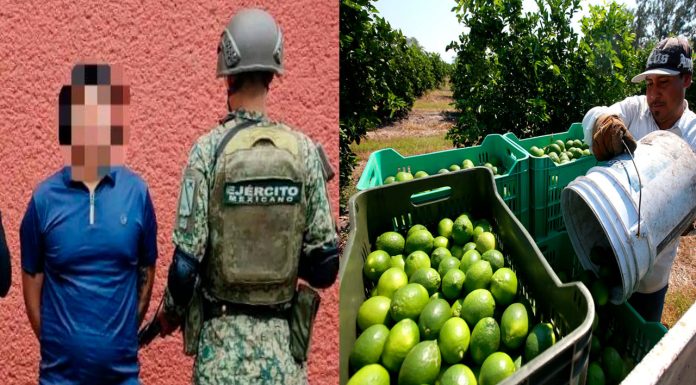Detienen en Tierra Caliente a El “Llanero”, presunto extorsionador del sector limonero