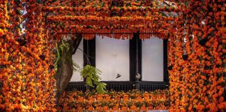 Cierran la Avenida Madero por Día de Muertos: conoce las calles, días y horarios del operativo vial